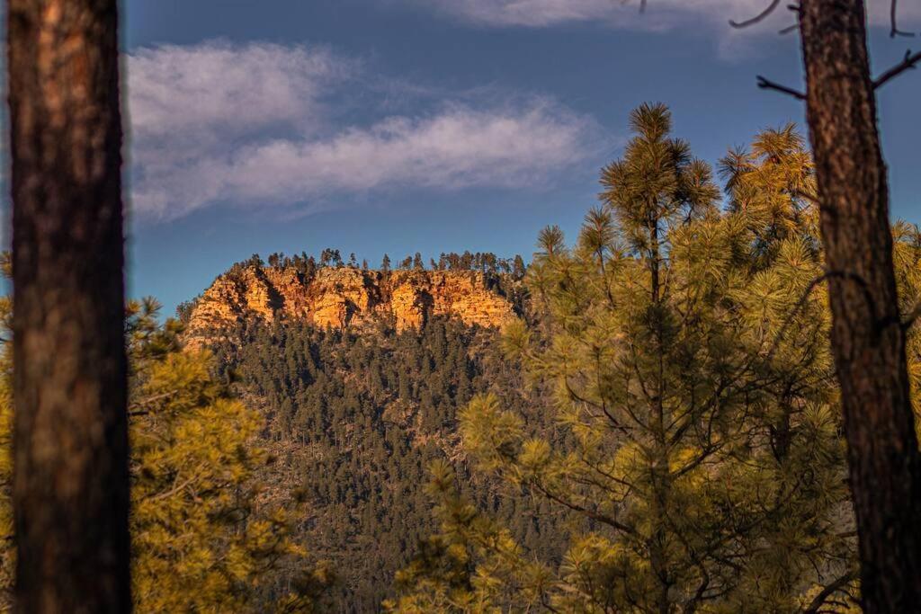 Forest Cabin 5 Old Glory Payson Dış mekan fotoğraf